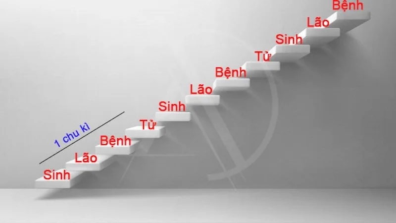 Sơ đồ minh họa cách tính số bậc cầu thang theo phong thủy Sinh Lão Bệnh Tử và tiêu chuẩn kỹ thuật.