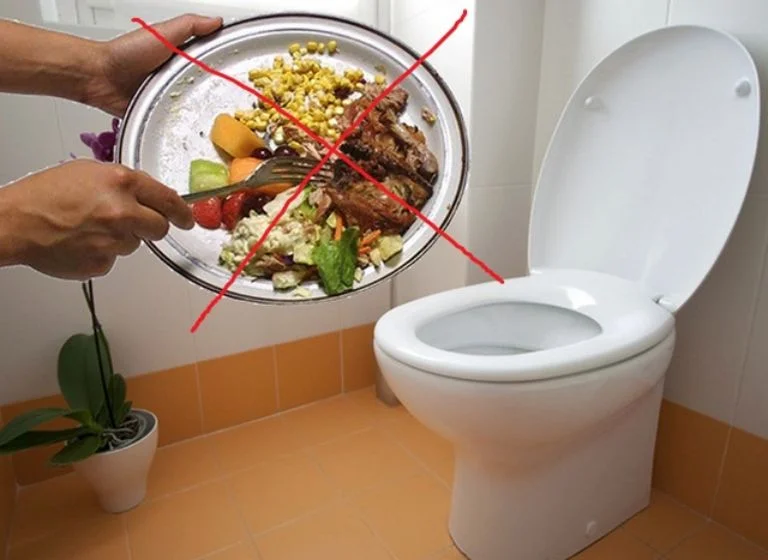 Hình ảnh minh họa bồn cầu và các loại thức ăn không nên đổ vào để phòng tránh tắc nghẽn hầm cầu.